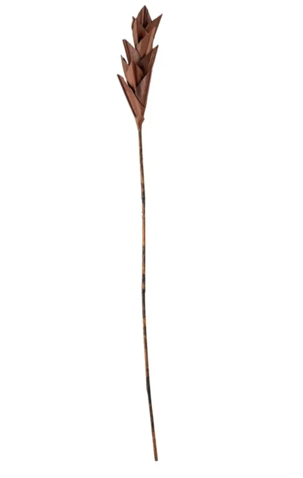 Hot Afina Deco Flower, Brown, Palm Leaf / L10xH93xW10 cm Potten & Vazen